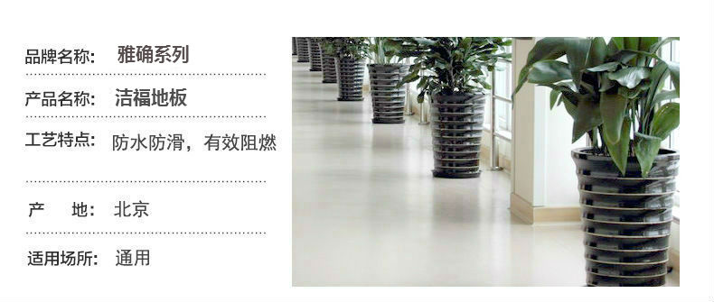 1522395230710497.jpg 雅確系列3.jpg