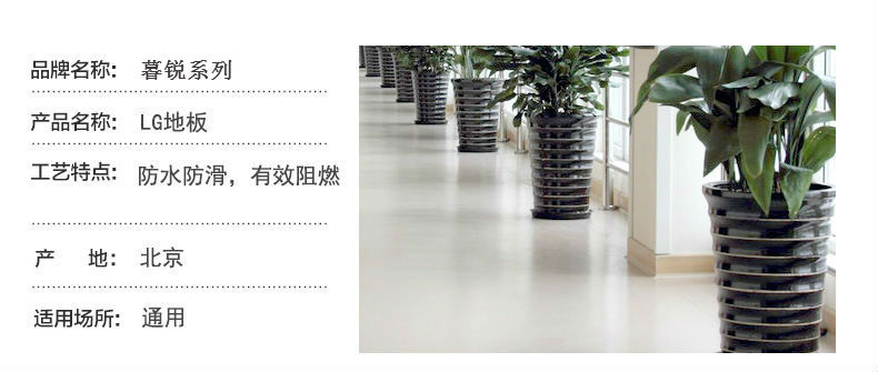 1524121427100733.jpg 暮銳系列.jpg